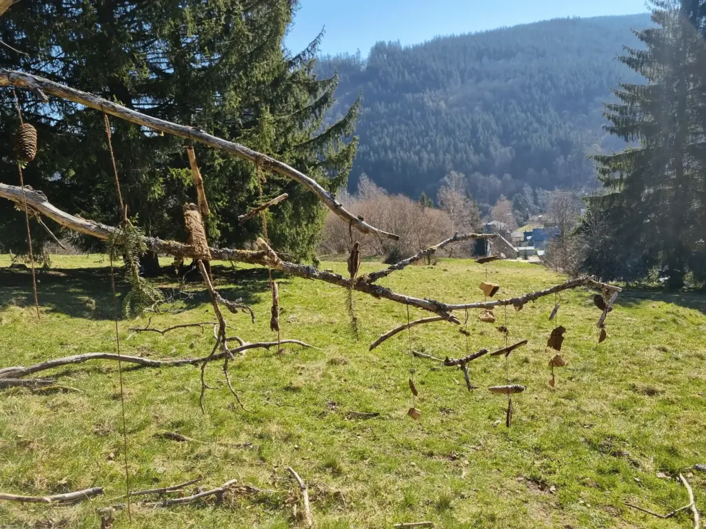 kindergarten waldstrolche manebach thueringer wald