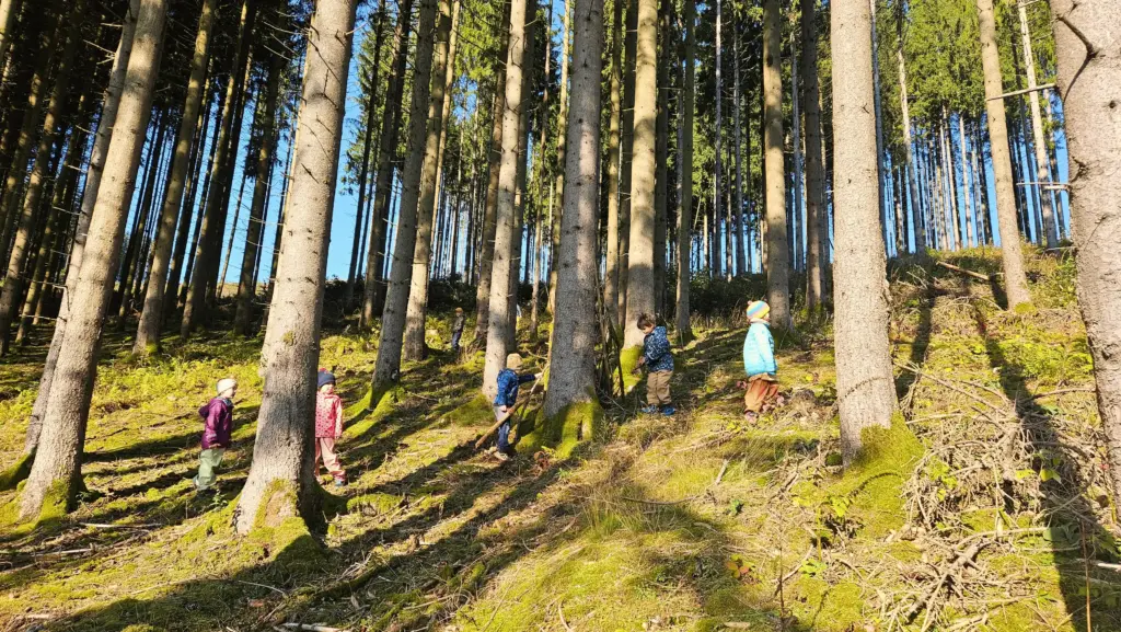 kita waldstrolche manebach waldspaziergang kita waldstrolche manebach waldspaziergang